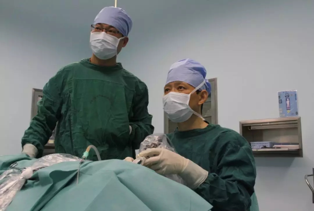 【技术济世】耳内镜技术-----耳科疾病患者的福音